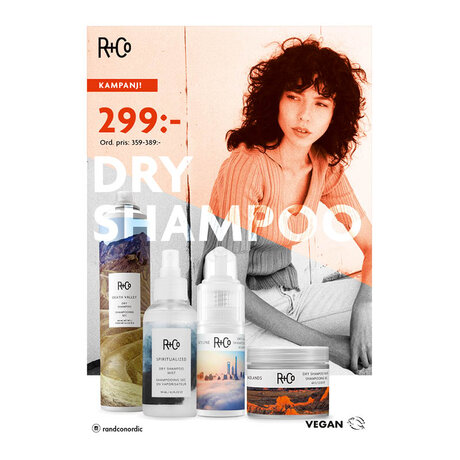 r+co dry shampoo A5 kampanjblad